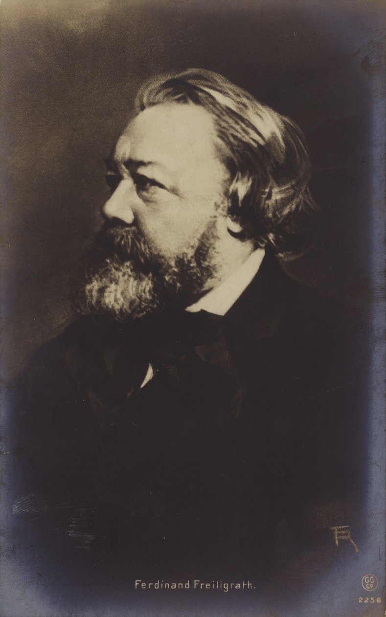 Ferdinand Freiligrath (1810-1876), deutscher Dichter von German Photographer