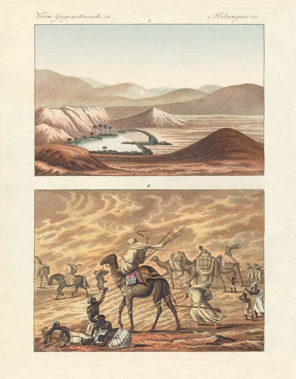 Über die Sahara von German School