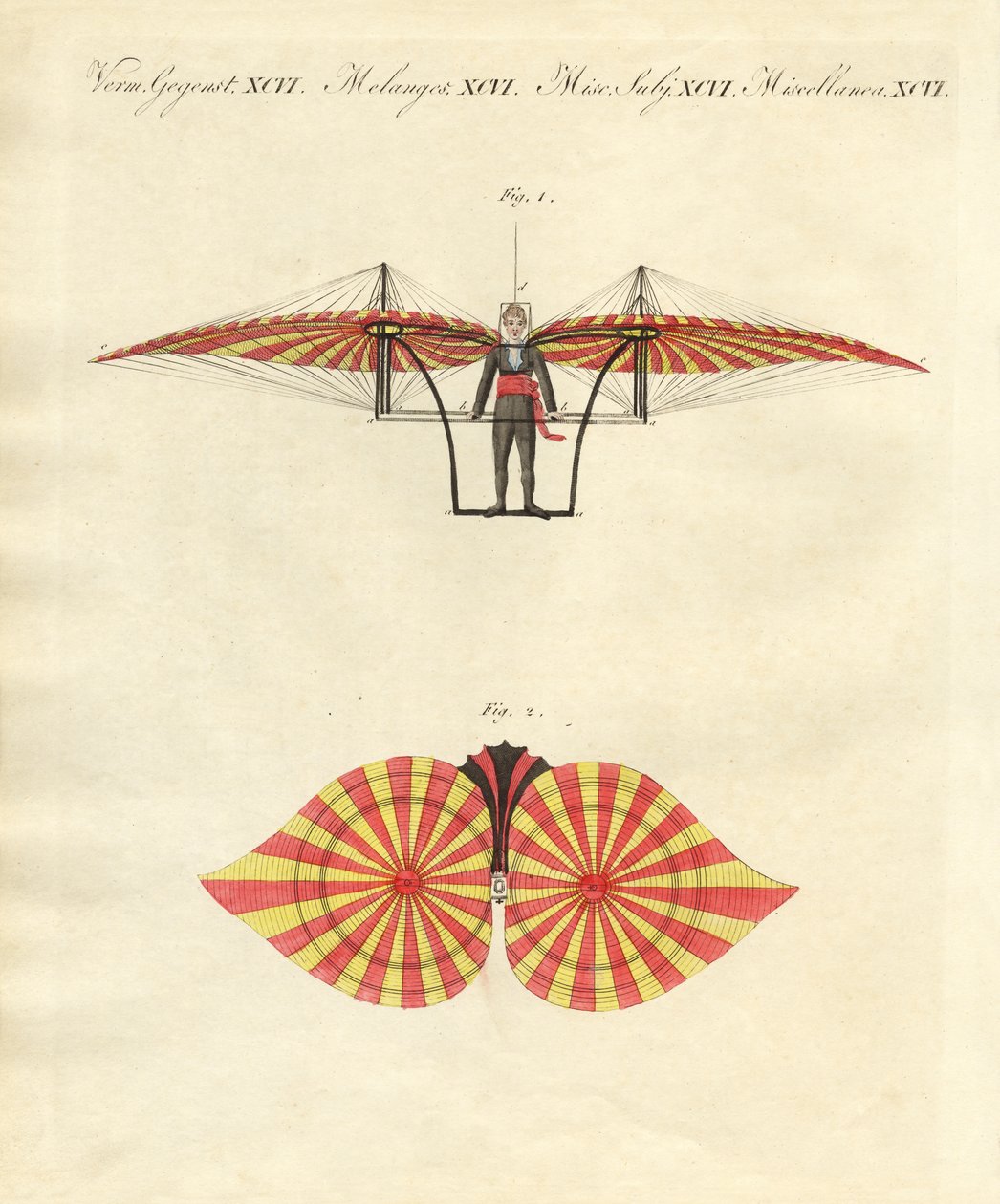 Degens Flugmaschine von German School