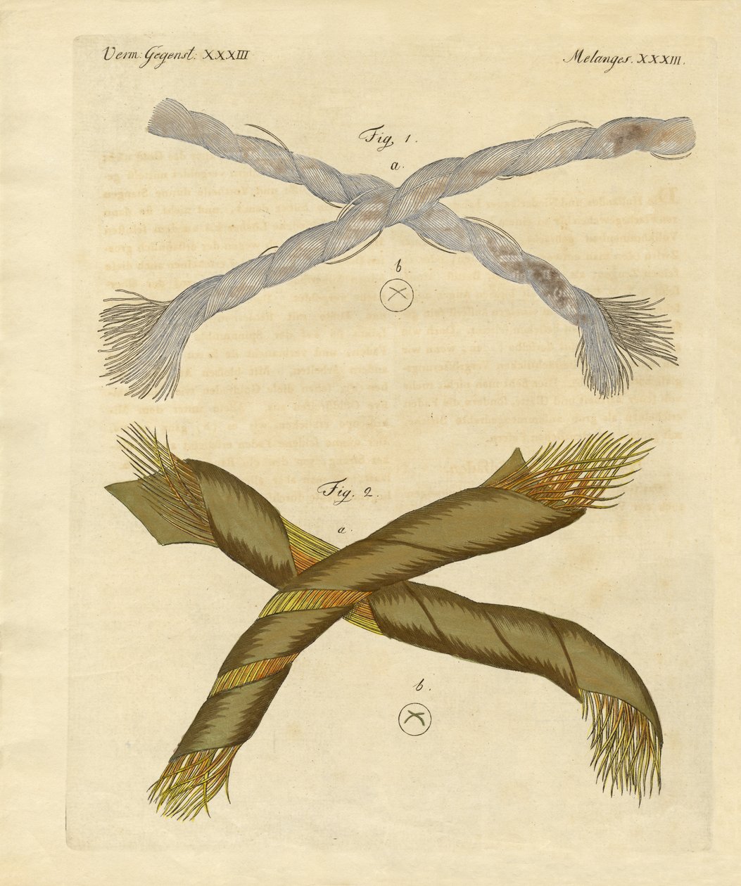 Mikroskopische Objekte von German School