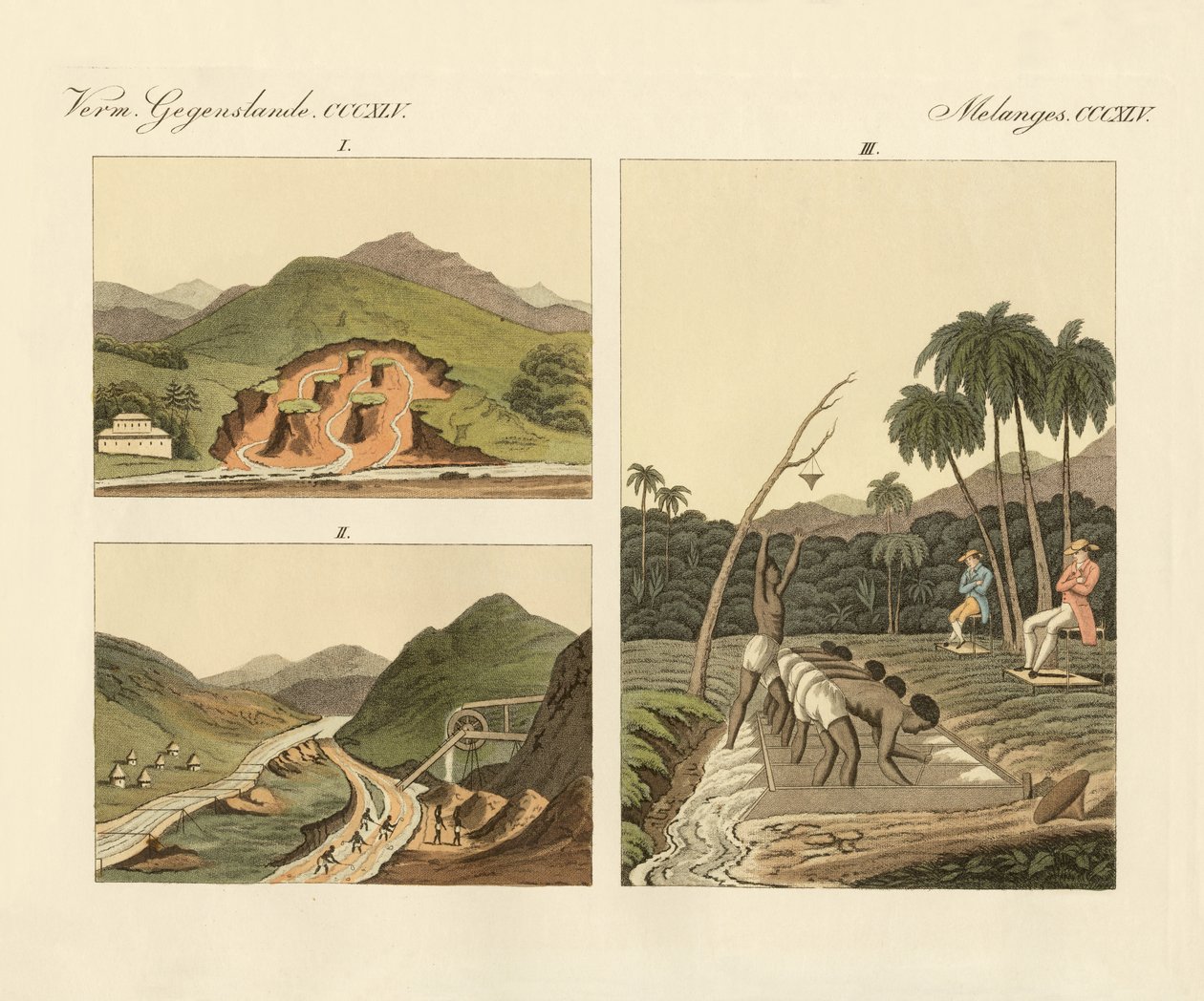Die Edelsteinminen in Brasilien von German School