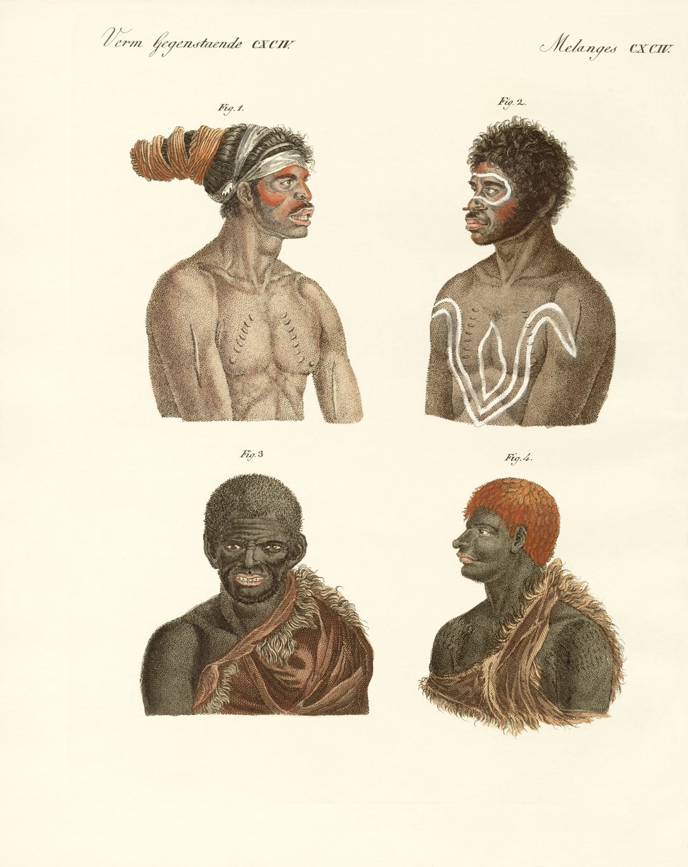 Die Bewohner Australiens von German School
