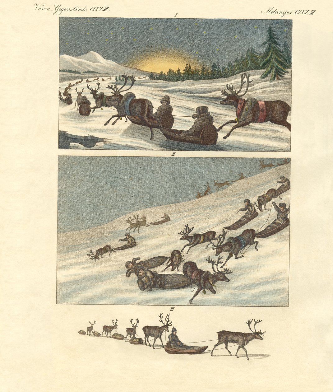 Winterreisen in Lappland von German School