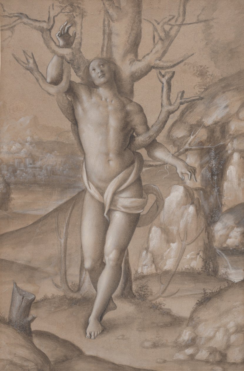 Heiliger Sebastian von Gerolamo Giovenone