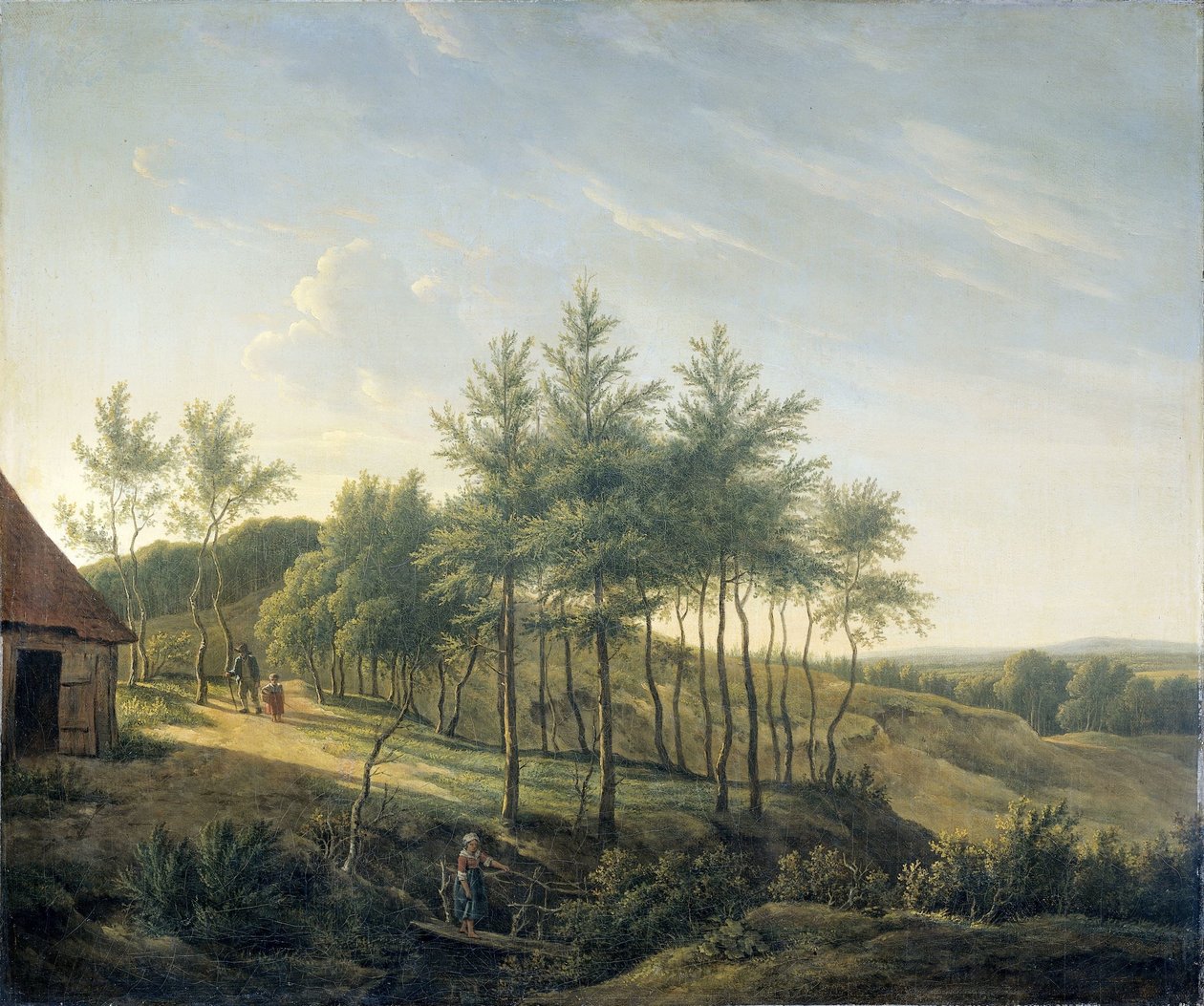 Hügelige Landschaft von Gerrit Jan Michaëlis
