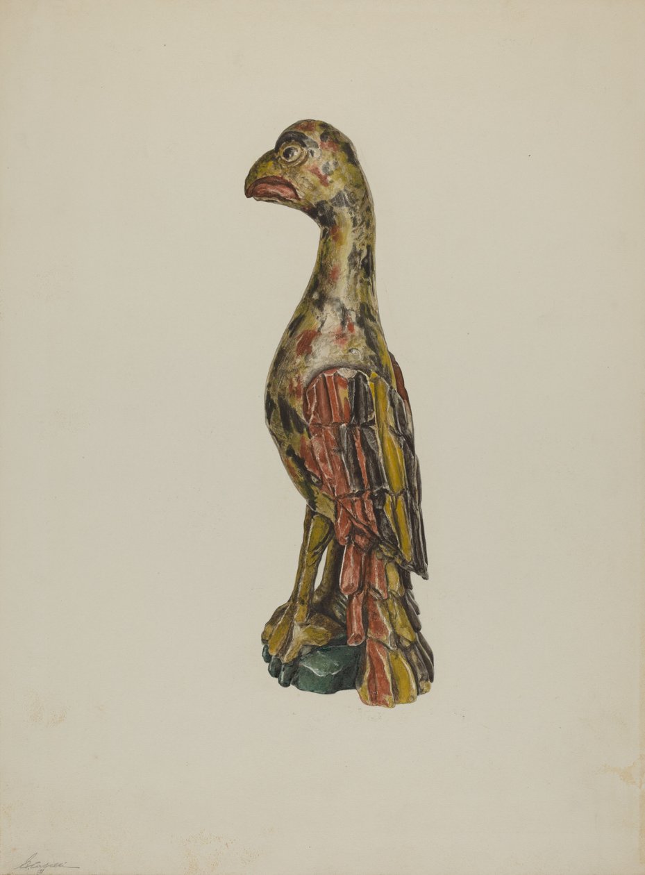 Pa. Deutscher Papagei, ca. 1939 von Giacinto Capelli
