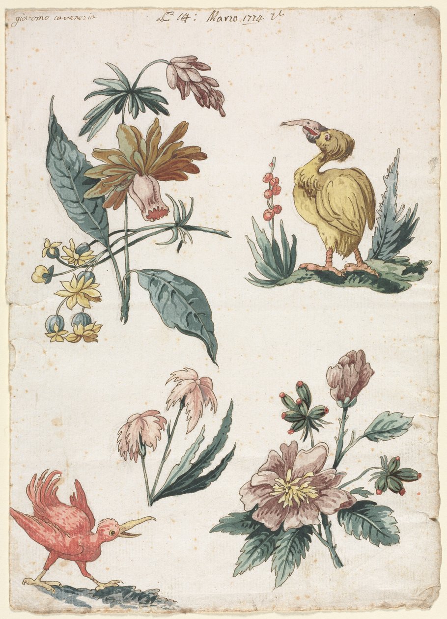 Florale Designs mit zwei Vögeln von Giacomo Cavenezia