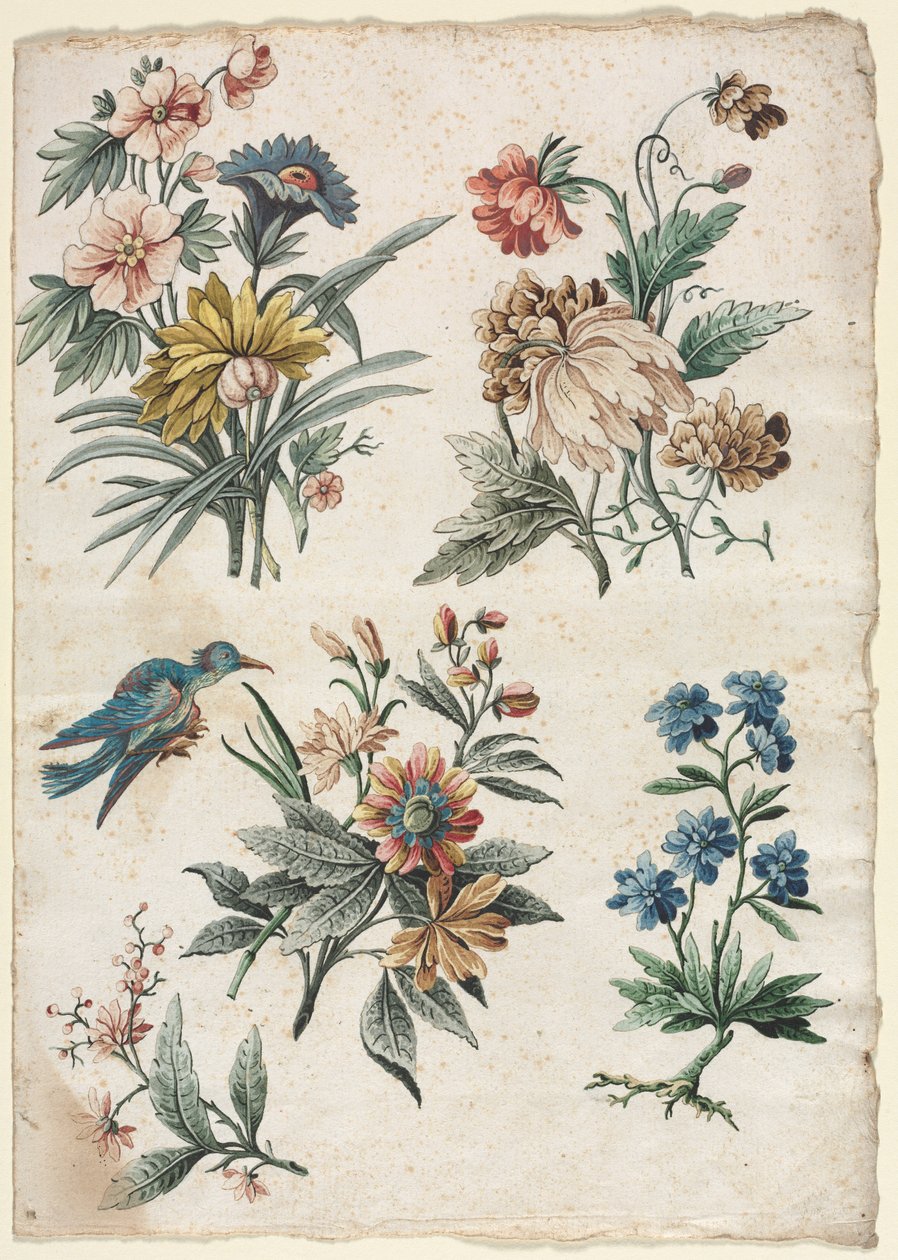 Florale Designs mit einem blauen Vogel von Giacomo Cavenezia