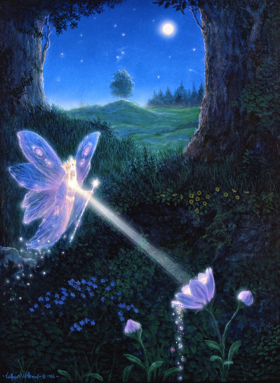 Feenblume von Gilbert Williams
