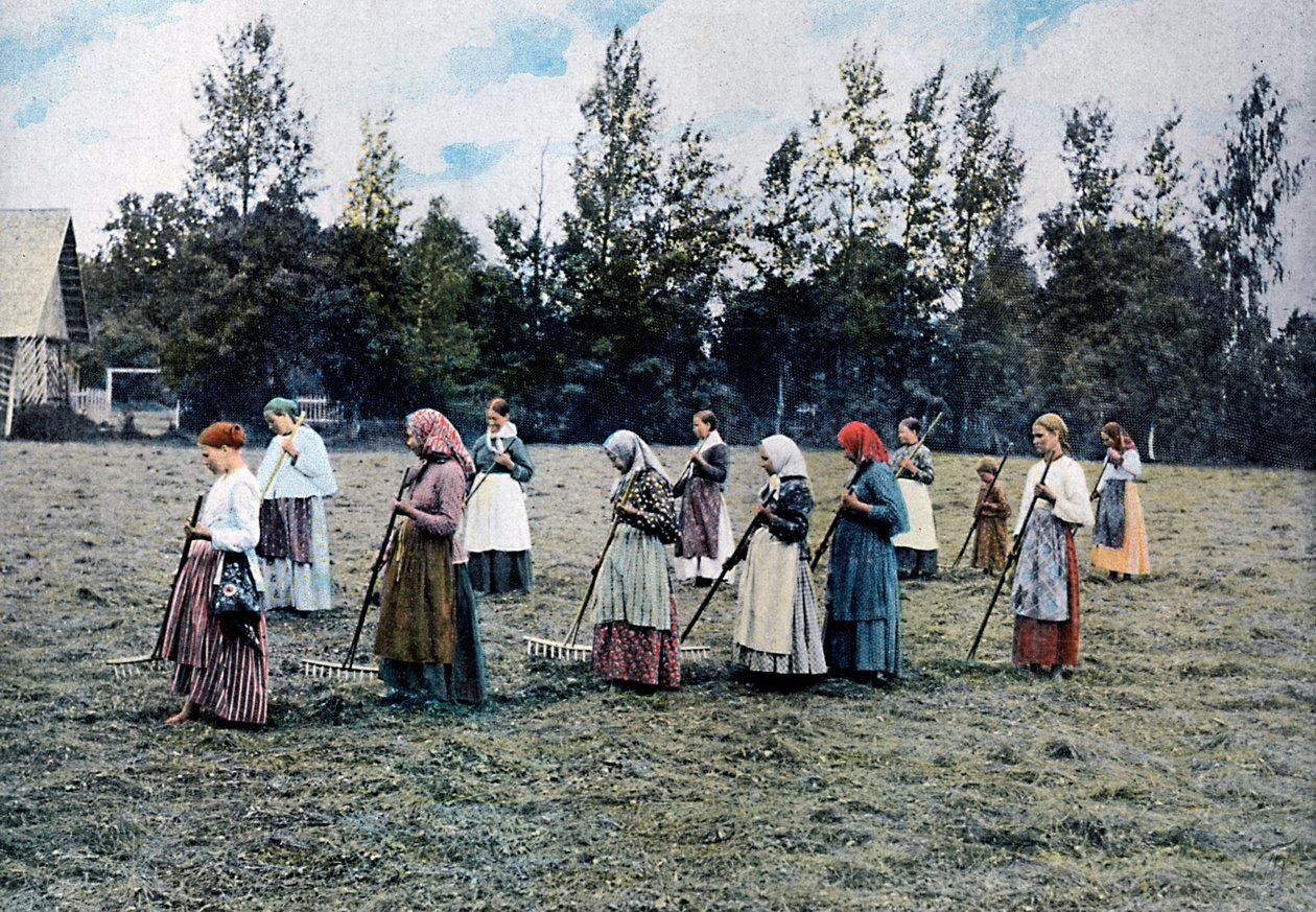 Heuernte um Moskau, Russland von Gillot