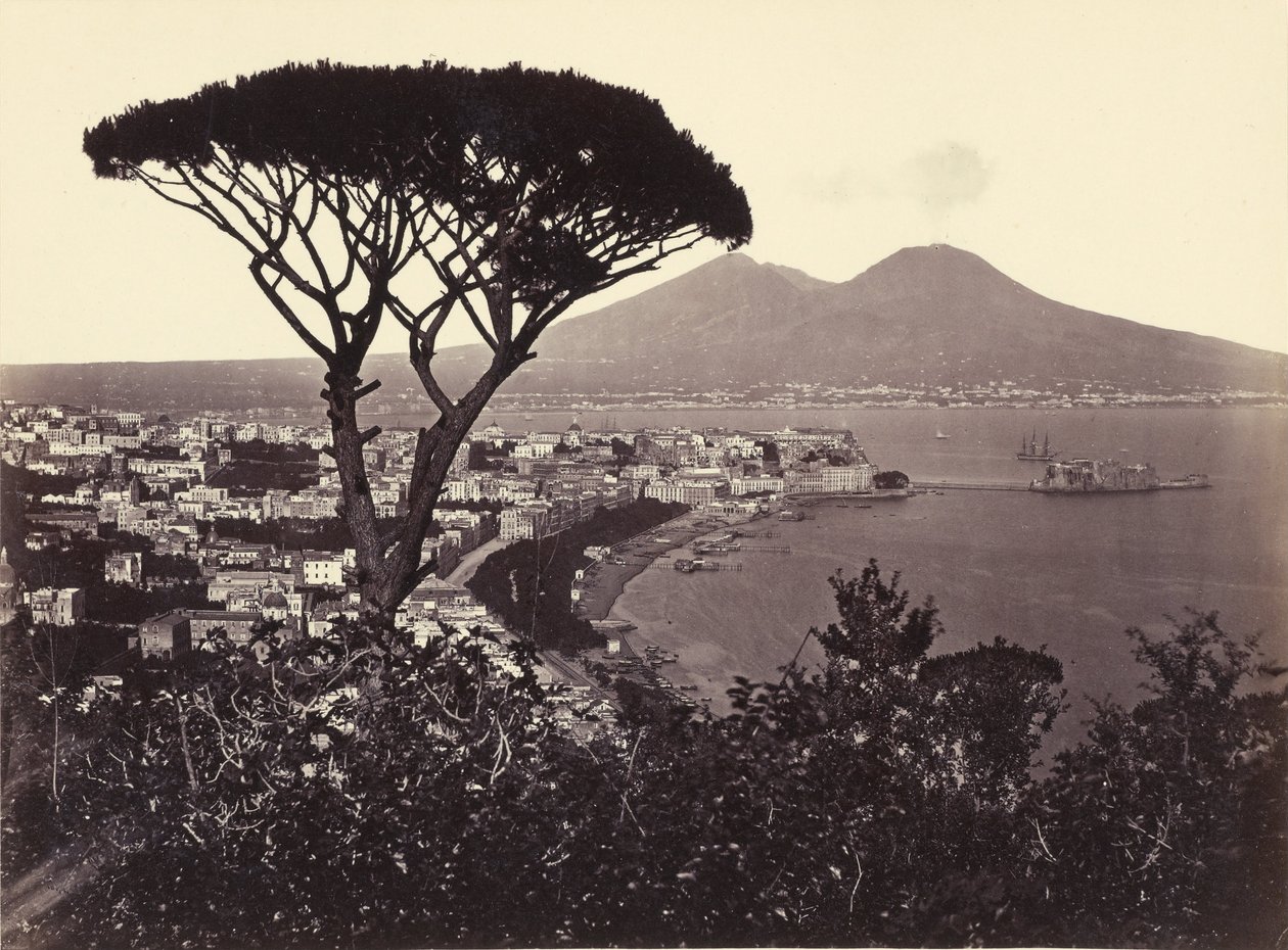 Panorama von Vomero mit Pinie von Giorgio Sommer