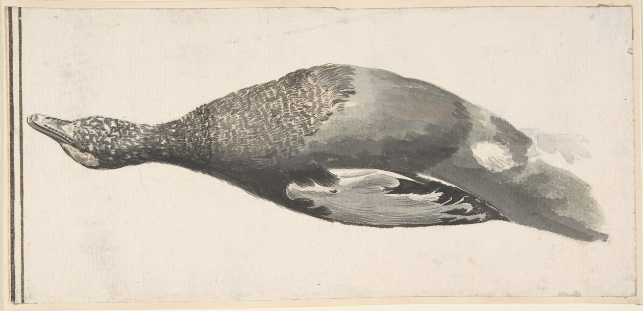 Tote Ente, 1685-1755 von Giorgio Durante