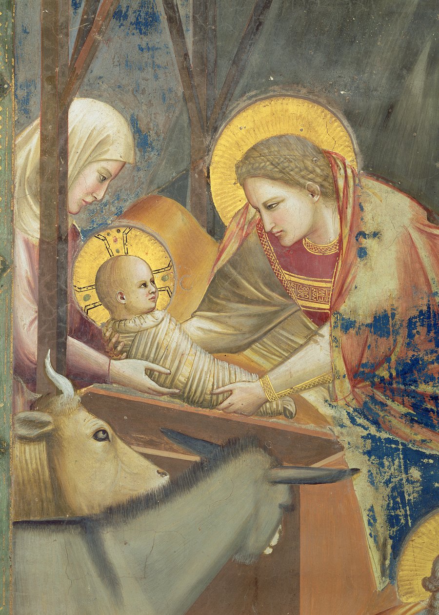 Die Geburt Christi, um 1305 (Detail) von Giotto (c.1266 1337)
