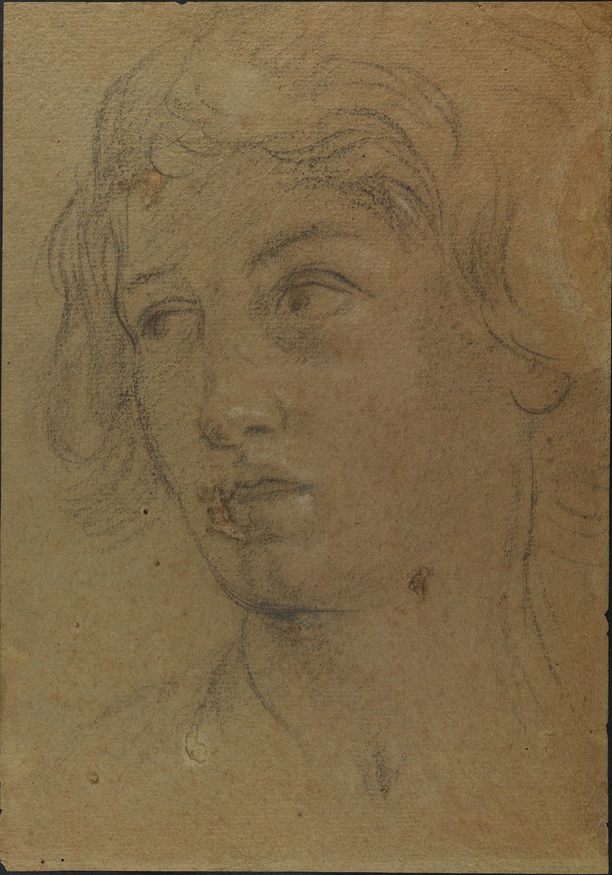 Kopf eines jungen Mannes von Giovanni Andrea Sirani