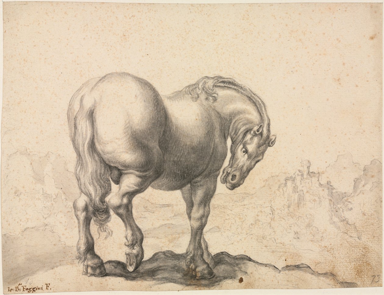 Studie eines Hengstes von Giovanni Battista Foggini