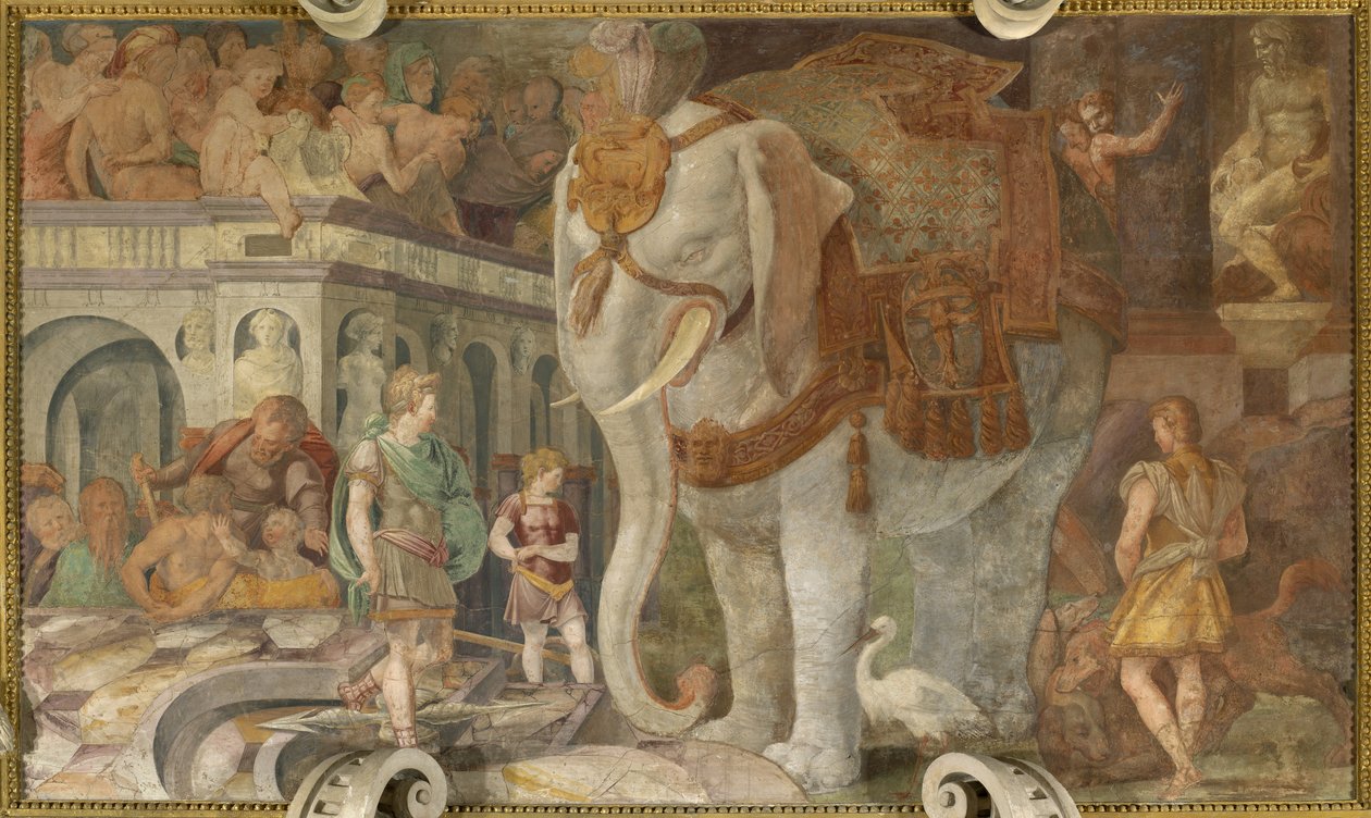 Der königliche Elefant von Giovanni Battista Rosso Fiorentino