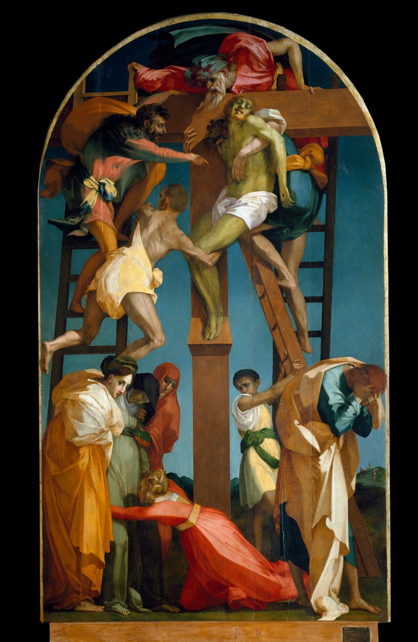 Unbekanntes Bild von Giovanni Battista Rosso Fiorentino