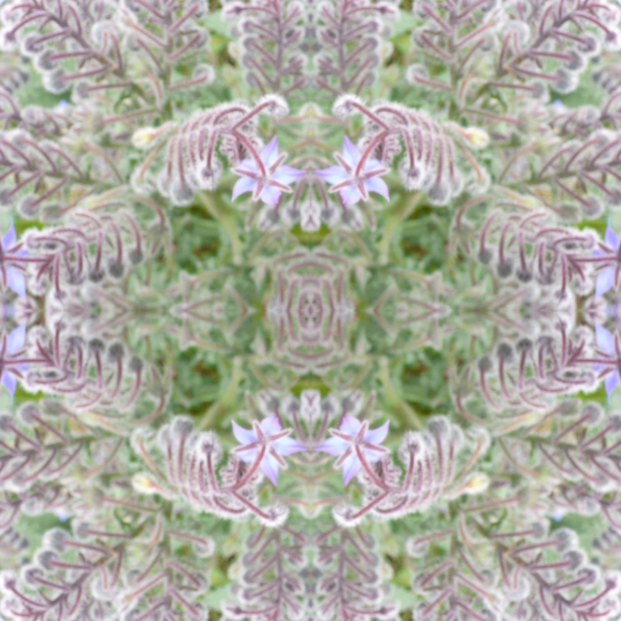 Unnatural 161 von Giovanni Cafagna