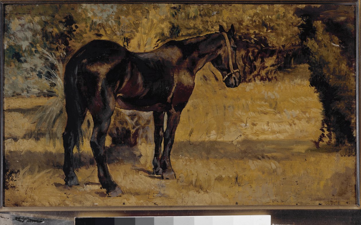 Dunkles Pferd (Öl auf Leinwand) von Giovanni Fattori
