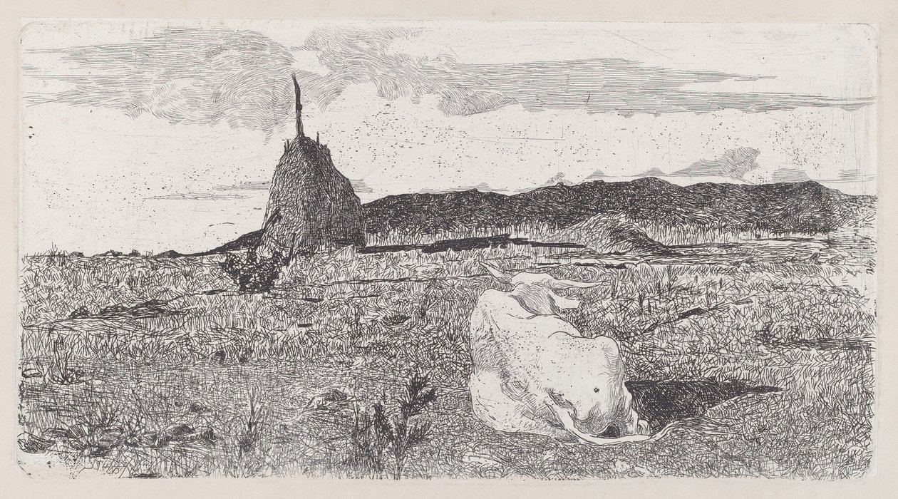 Heilige Kuh [Pio bove] von Giovanni Fattori