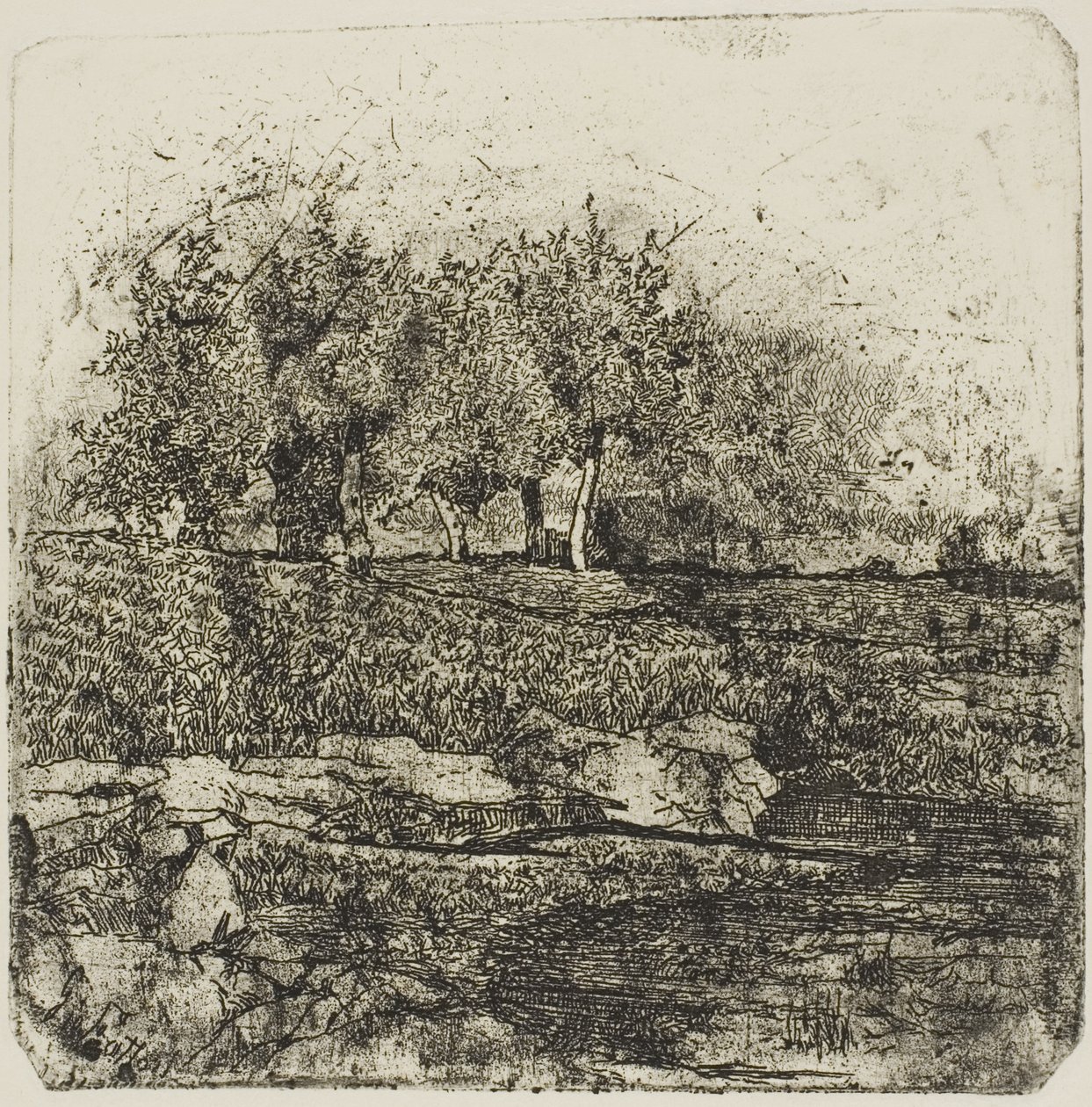 Bäume auf einer Wiese von Giovanni Fattori