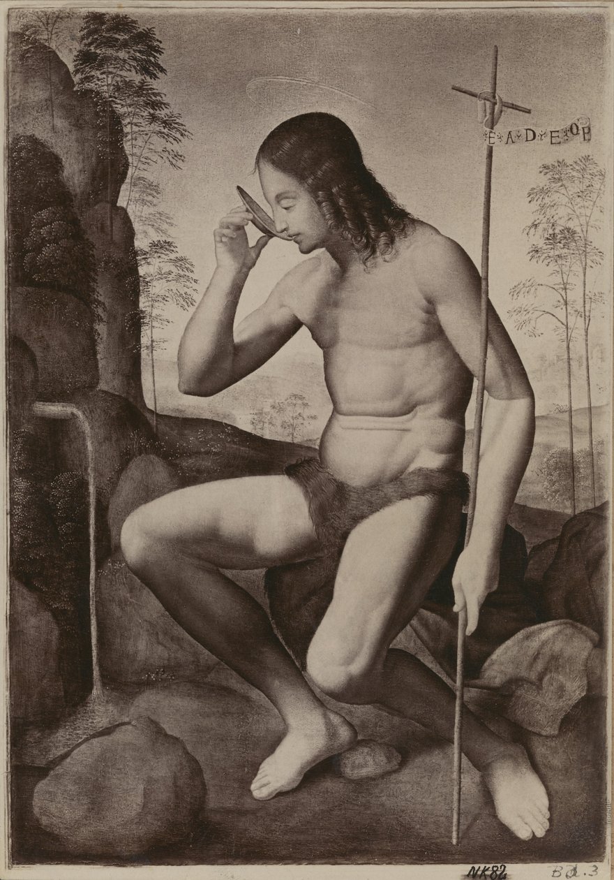 Johannes der Täufer in der Wildnis von Giuliano Bugiardini