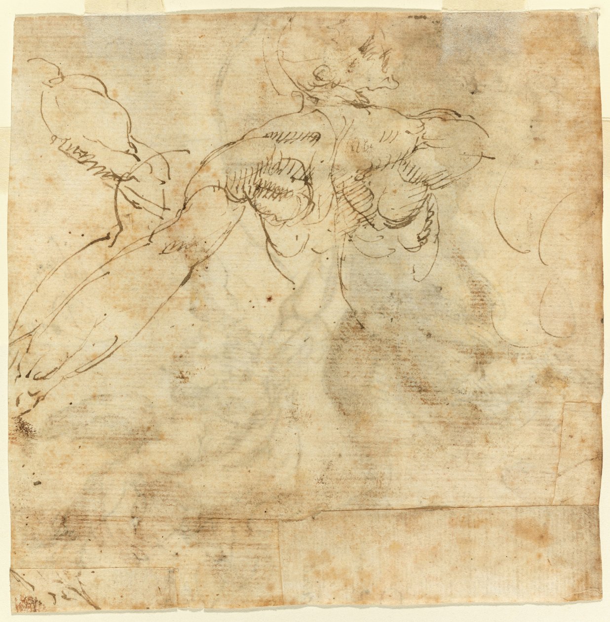 Studie eines Rückens von Giulio Cesare Procaccini