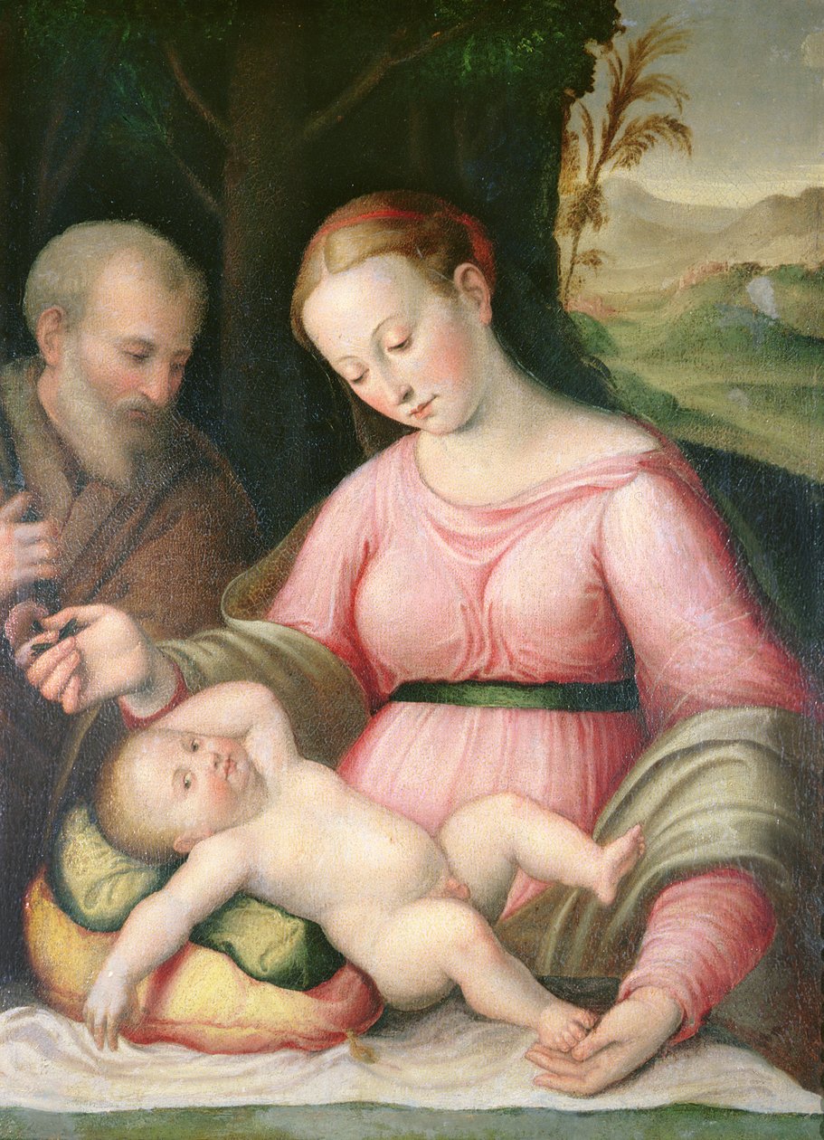 Die Heilige Familie in einer bergigen Landschaft von Giulio Romano