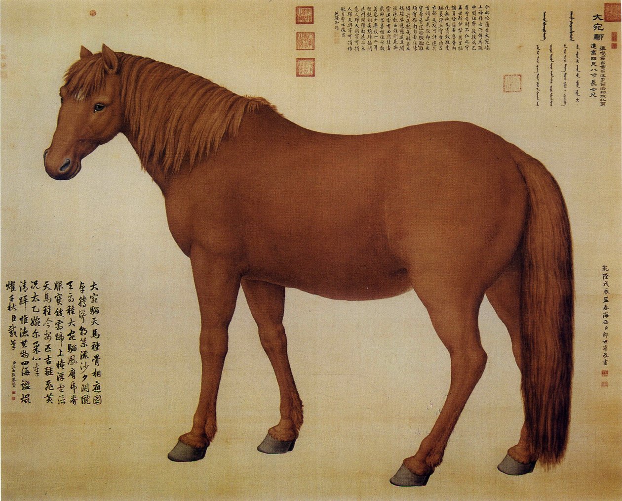 Ein Pferd namens Dawanliu von Giuseppe Castiglione