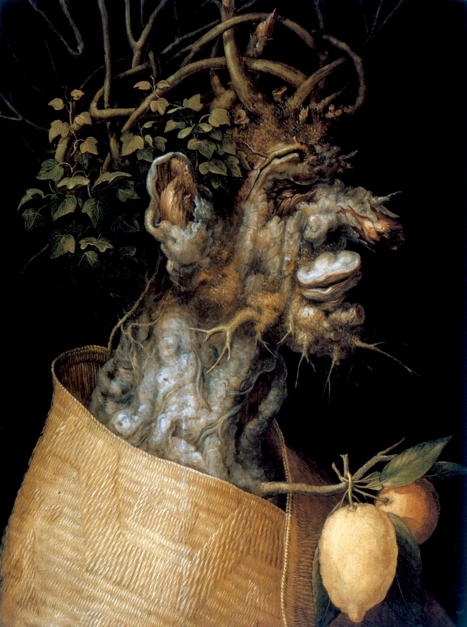 Winter, 1563 von Giuseppe Arcimboldi