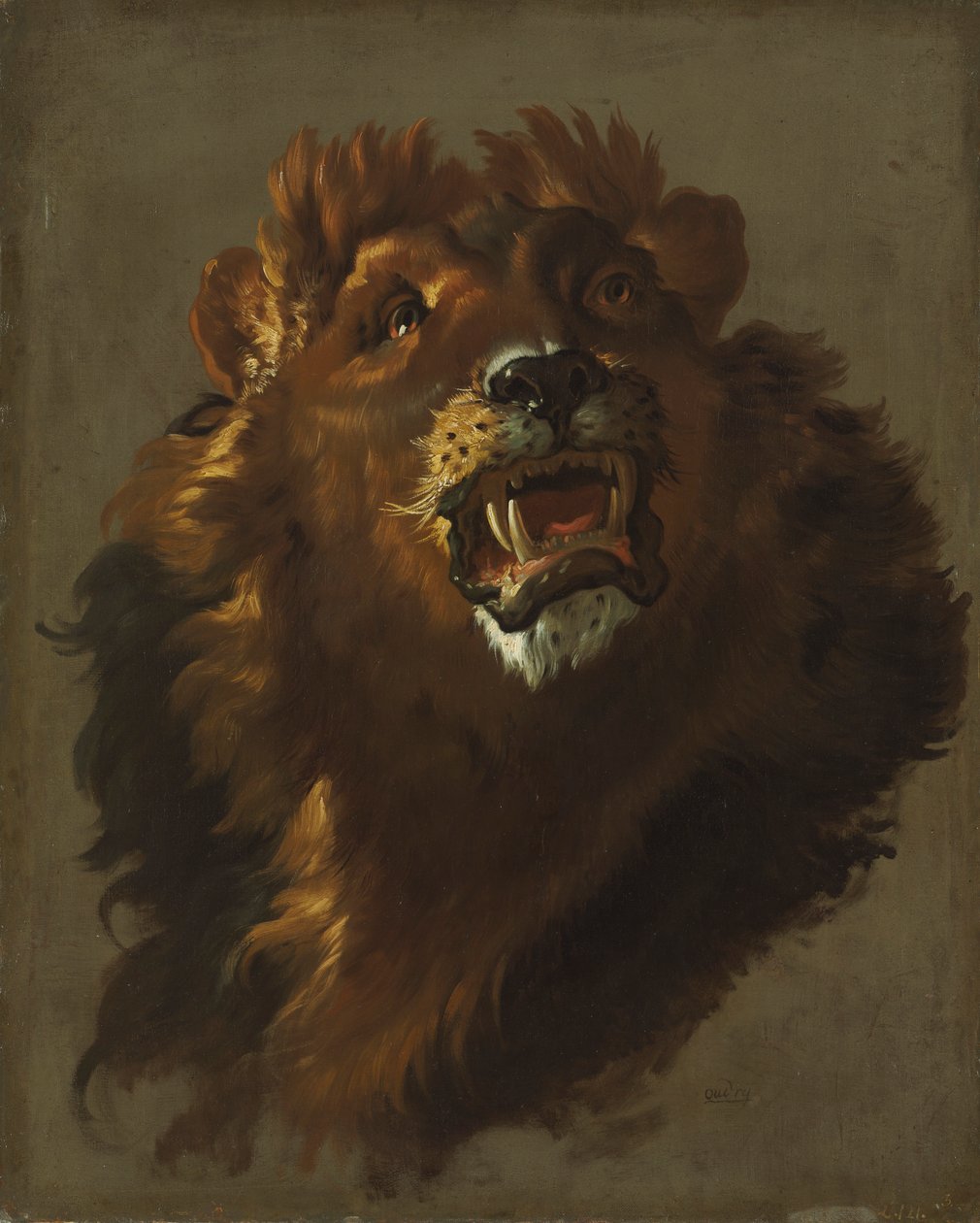 Löwe, 1750er von Giuseppe Baldrighi