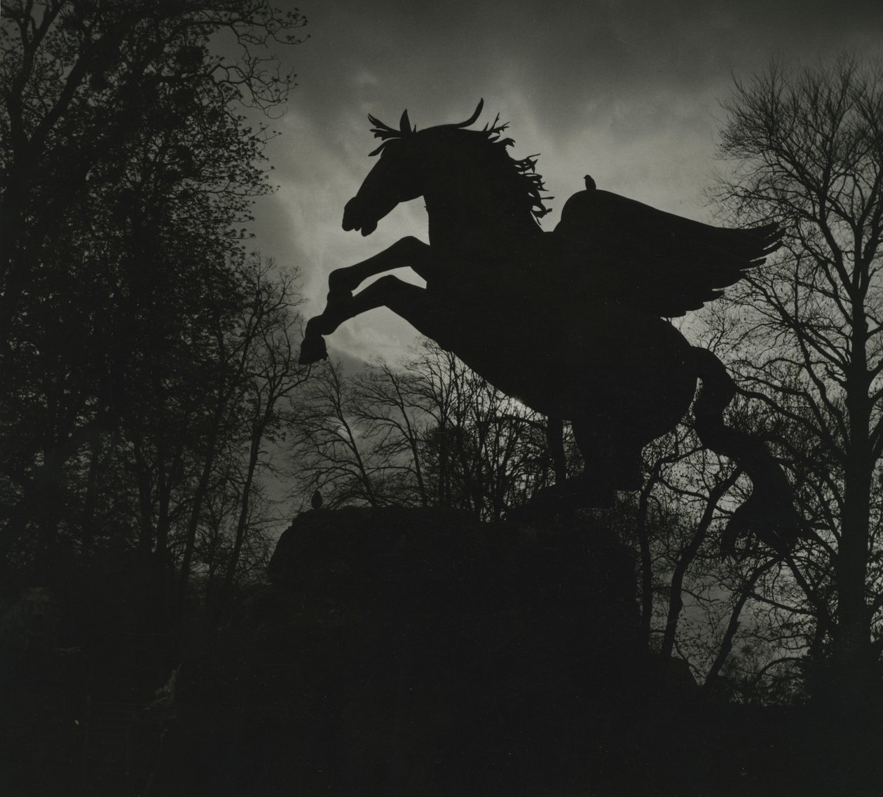Pegasus-Statue in den Mirabellgärten von Godfrey Macdominic