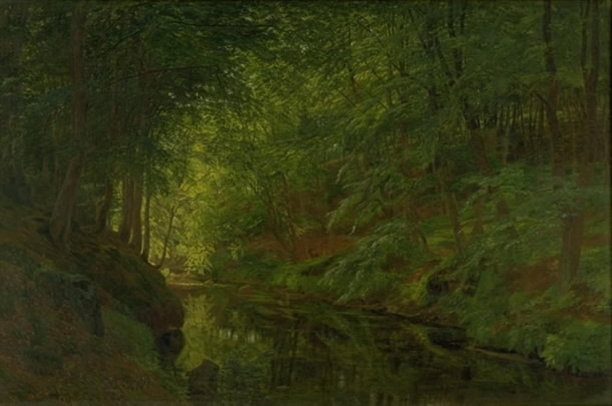 Ein Bach im Sæbygaard-Wald, Vendsyssel, Jütland von Godtfred Rump