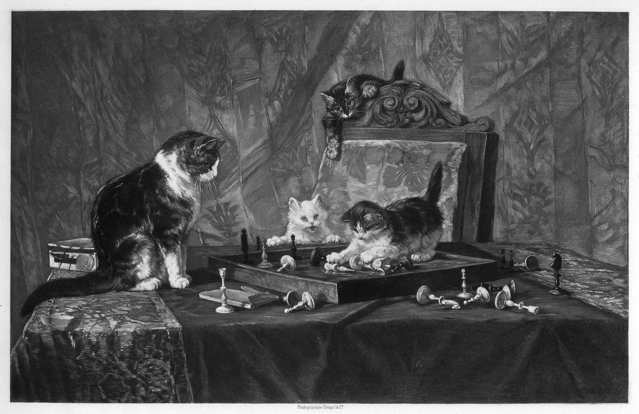 Katzen spielen mit einem Schachbrett von Goupil and Co