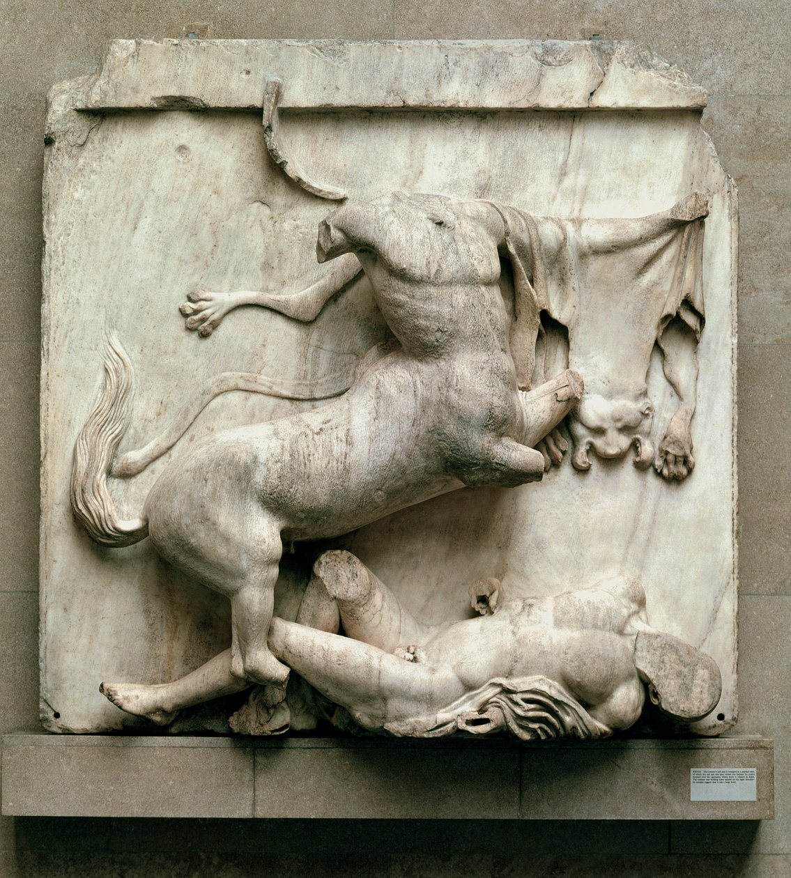 Ein Kentaur triumphiert über einen Lapithen, Metope XXVIII von der Südseite des Parthenon, 447-432 v. Chr. von Greek