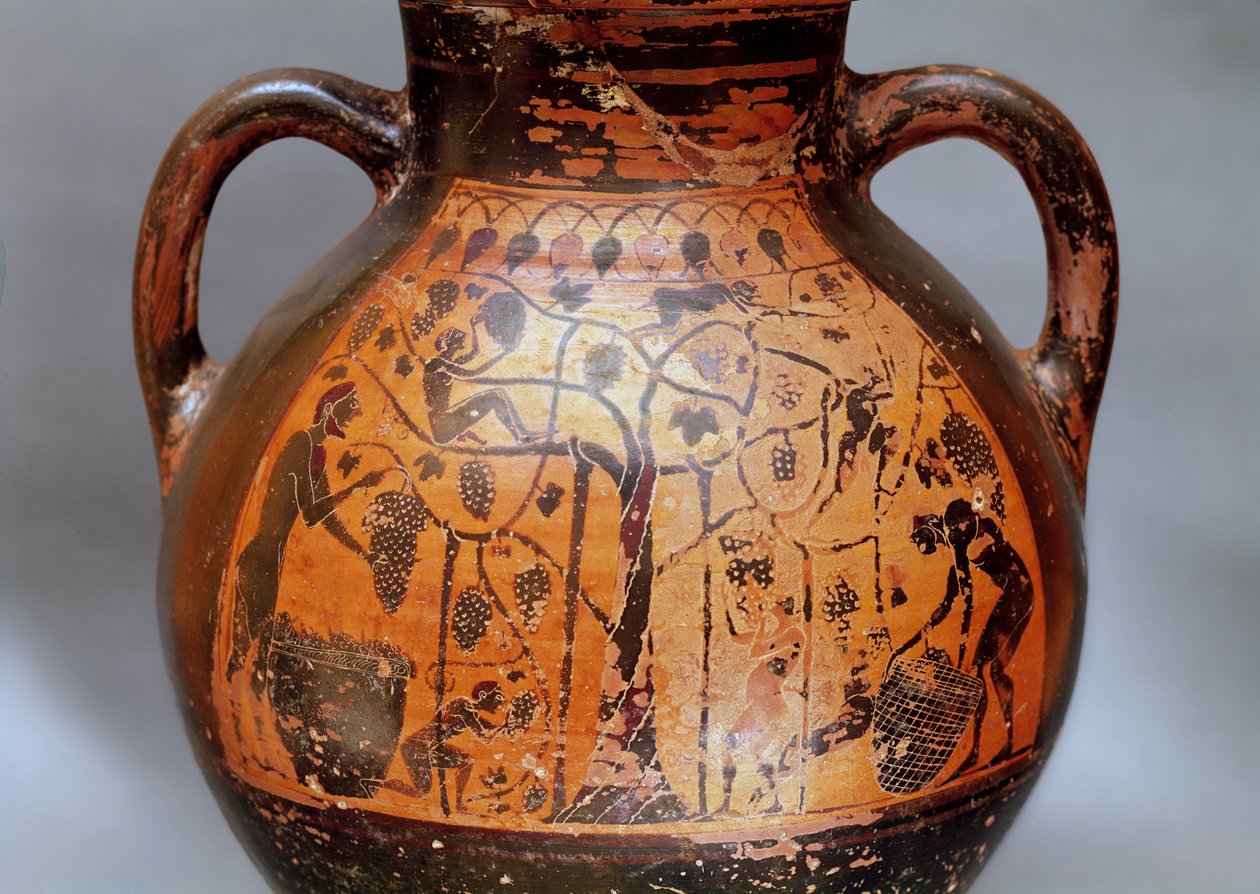 Amphore im rhodischen Stil, die das Traubenpflücken darstellt von Greek