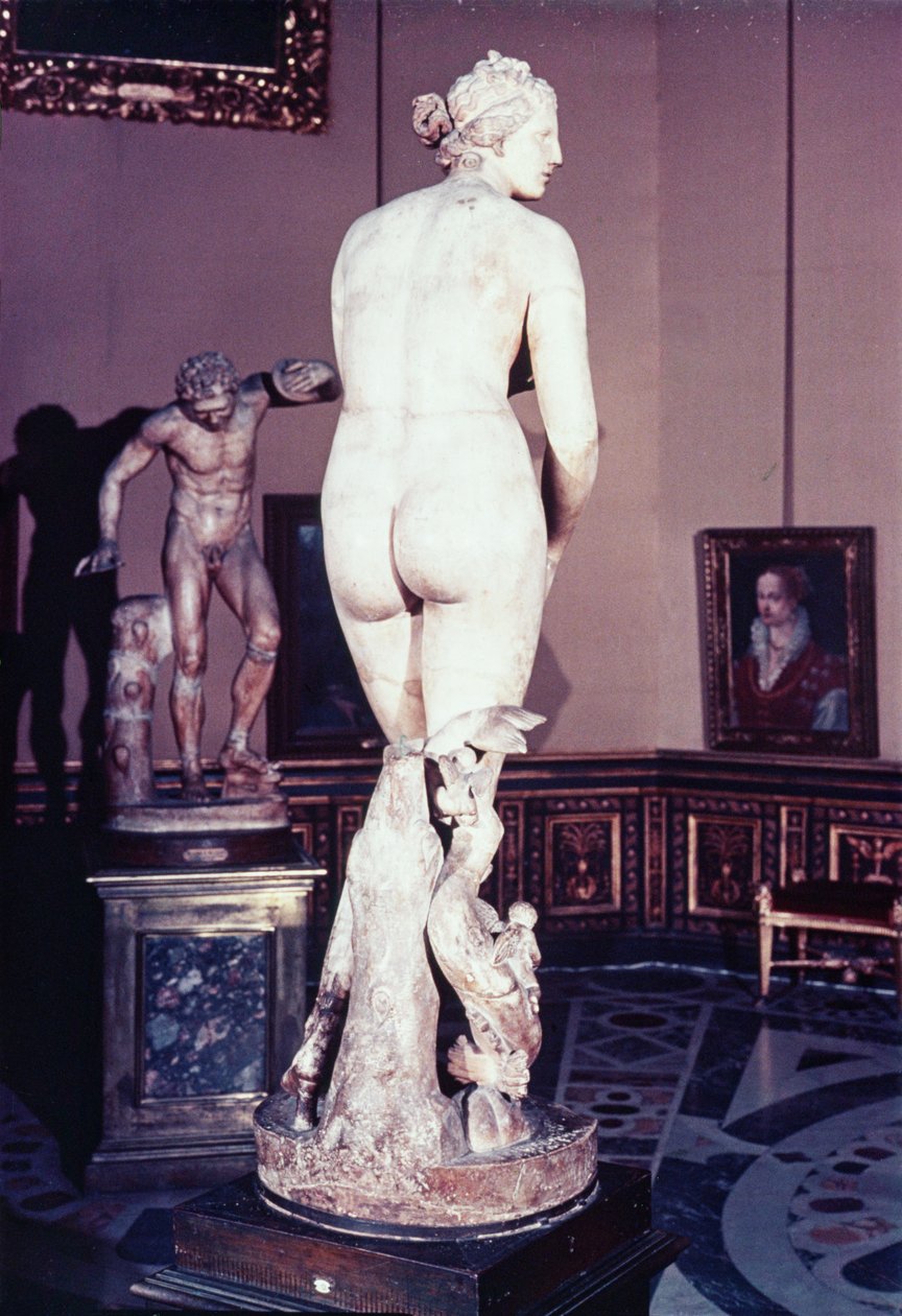 Die Medici Venus, griechisch, frühes 3. Jahrhundert v. Chr. von Greek