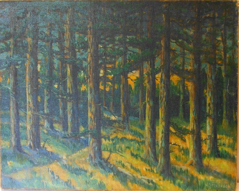 Wald von Gregor Perusek