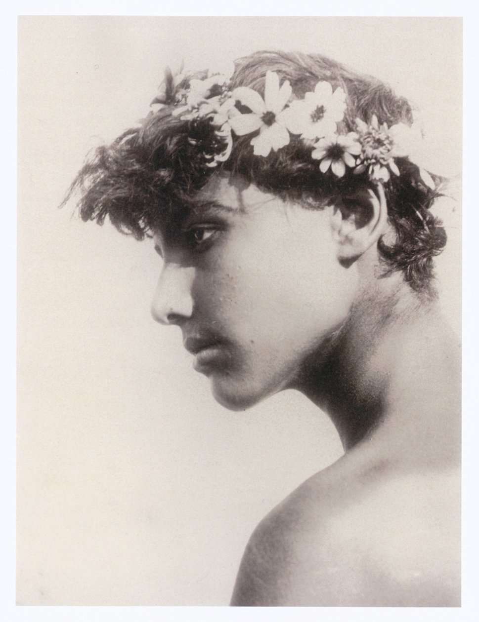 Porträt eines Jungen von Guglielmo (1852 1930) Plüschow