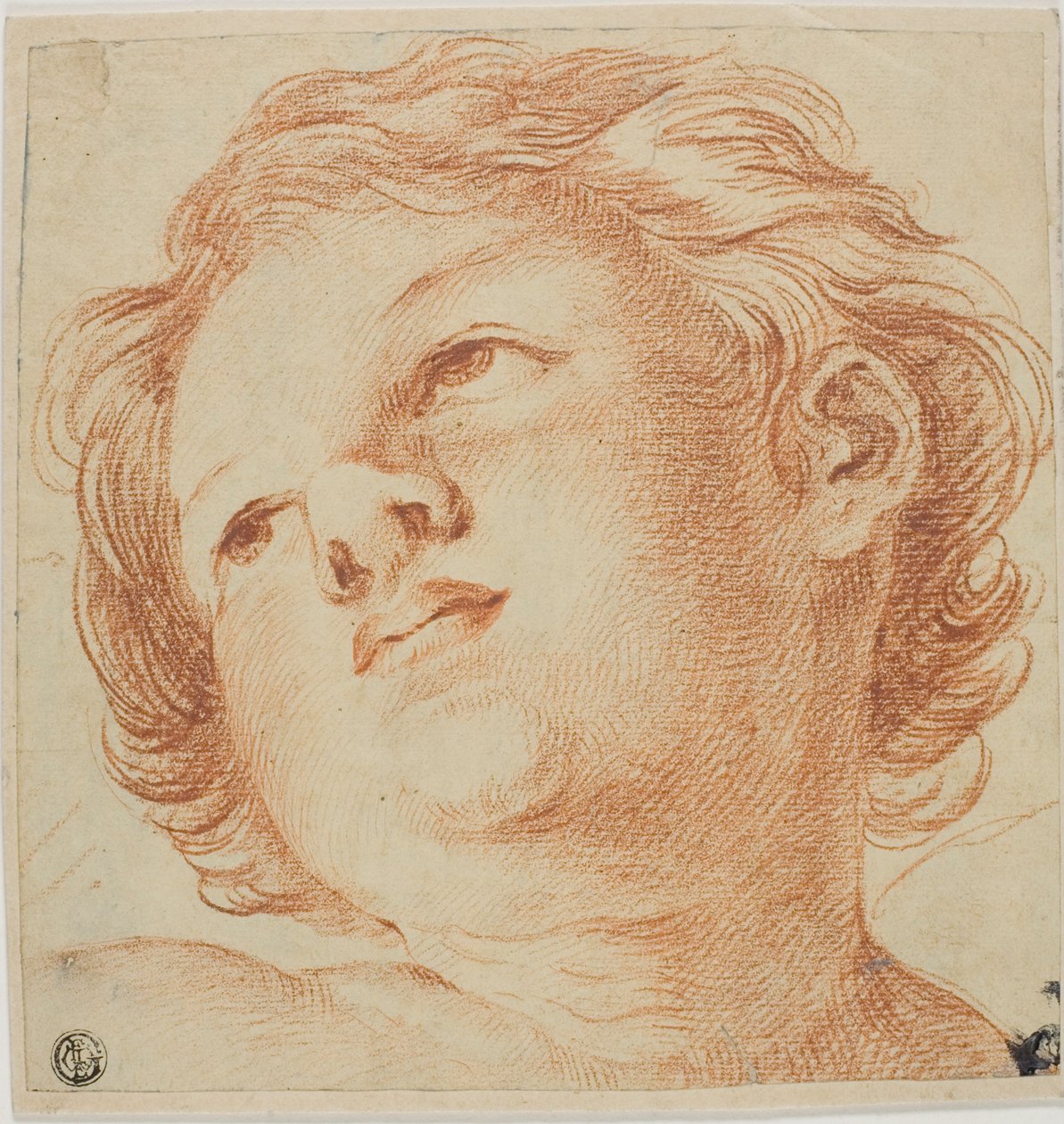 Kopf eines Putto von Guido Reni