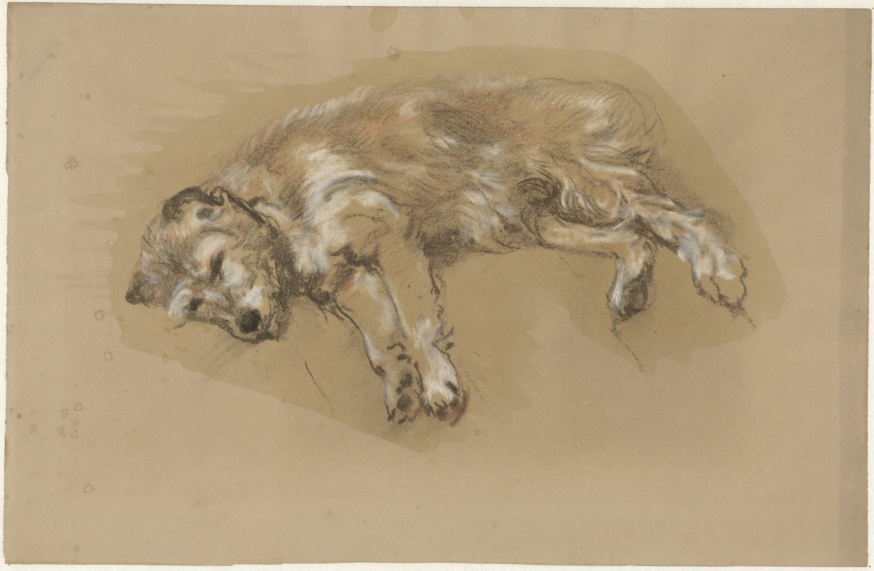 Liegender Hund von Guillaume Anne van der Brugghen