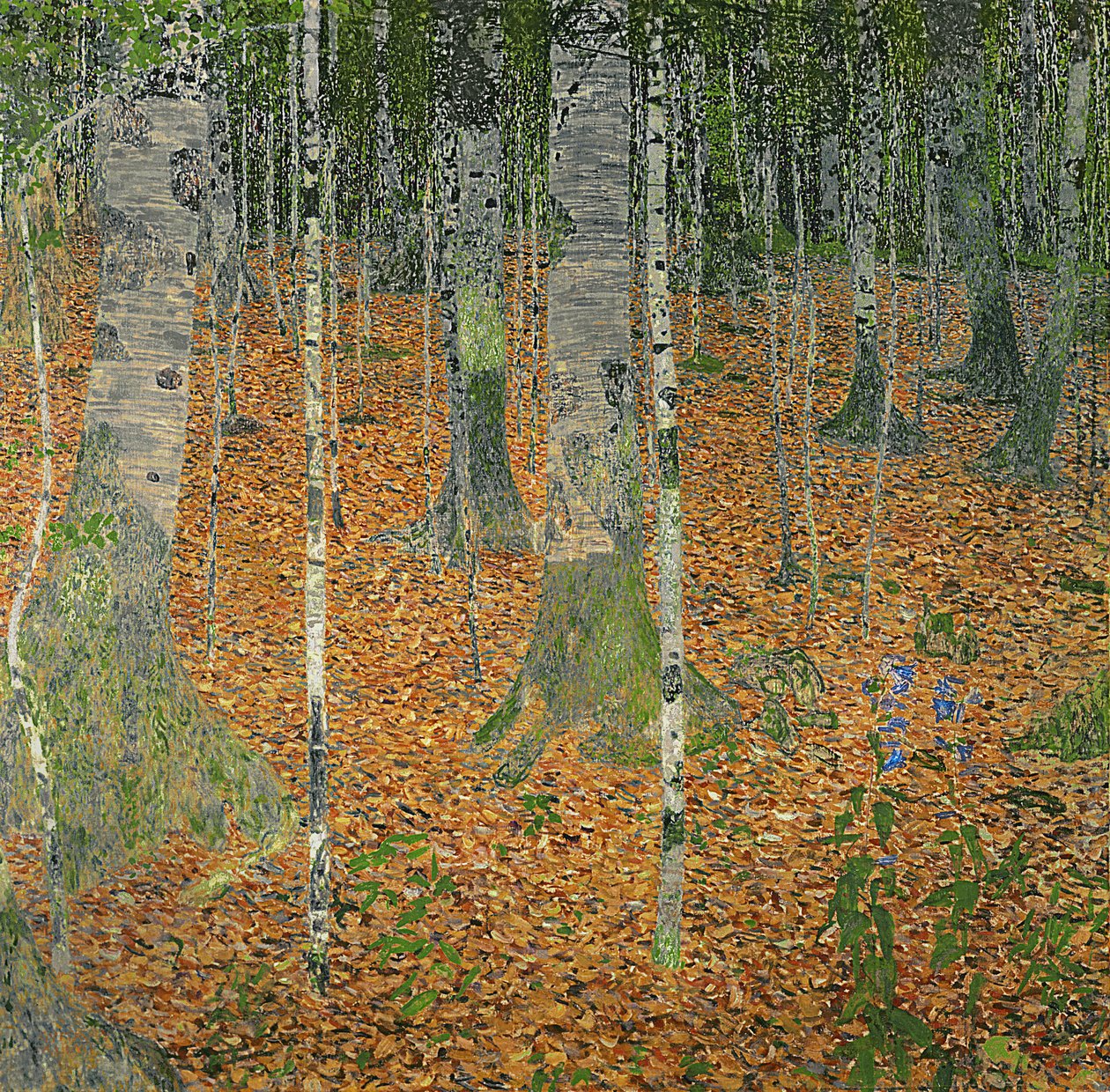 Der Birkenwald, 1903 von Gustav Klimt