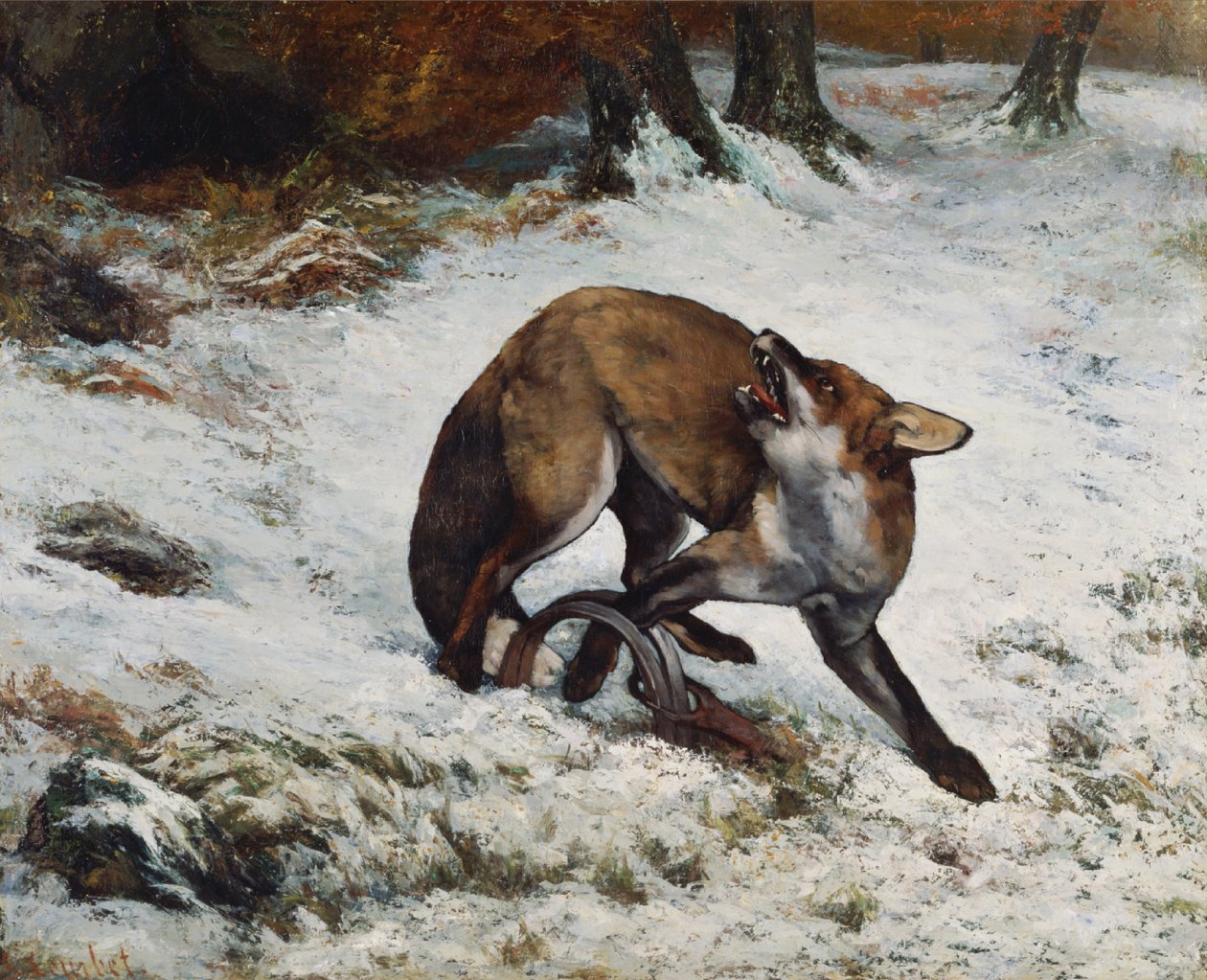 Fuchs in einer Falle von Gustave Courbet
