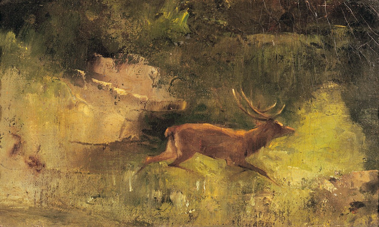Hirsch läuft durch einen Wald, ca. 1865 von Gustave Courbet