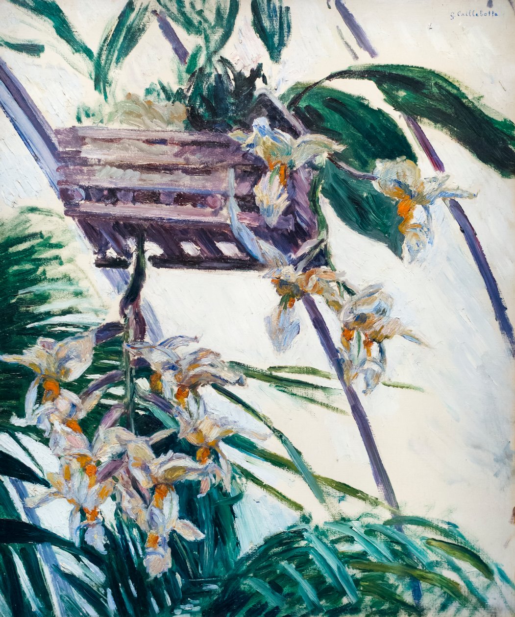 Orchideen von Gustave Caillebotte