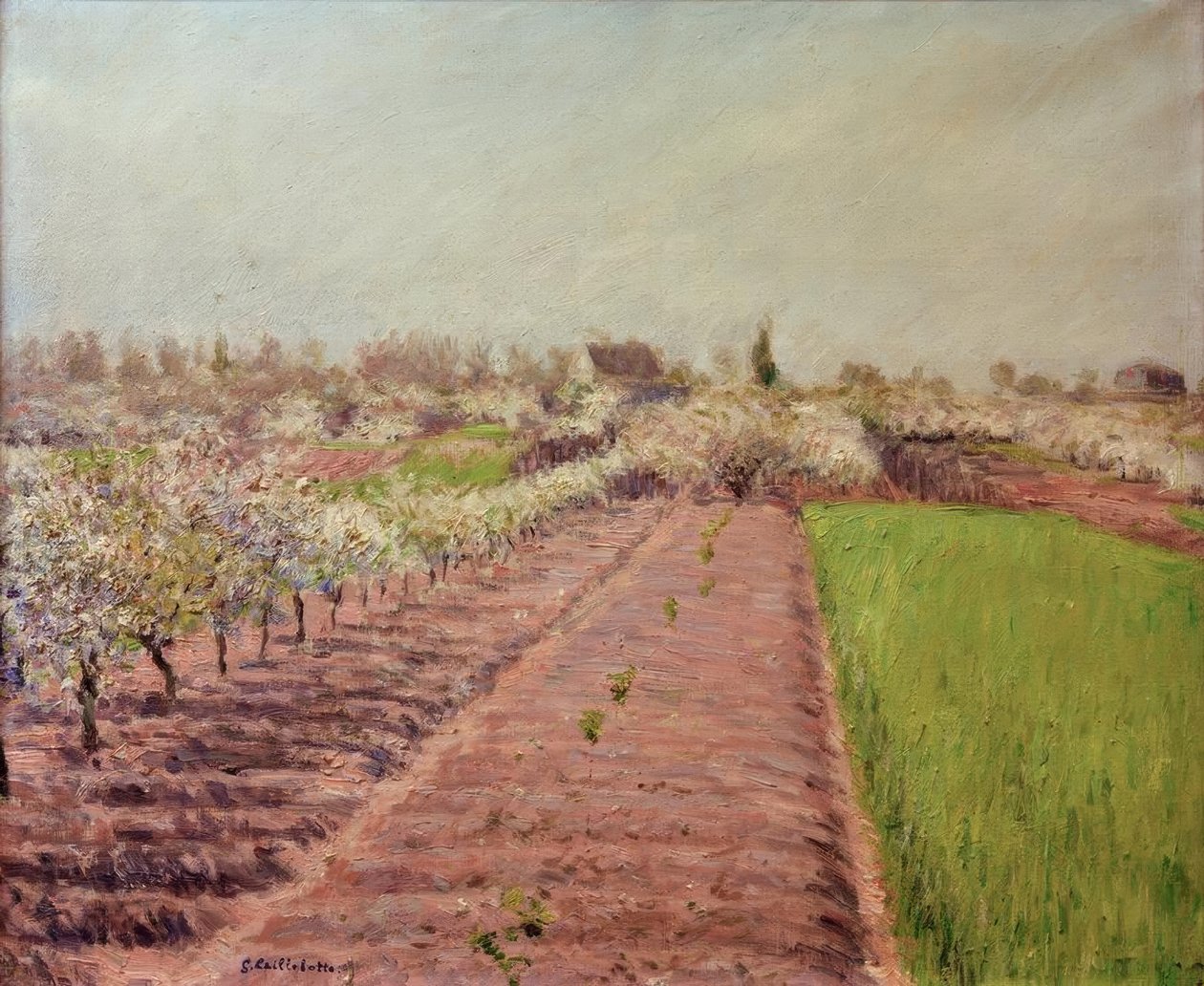 Blühende Apfelbäume, Hang von Colombes von Gustave Caillebotte