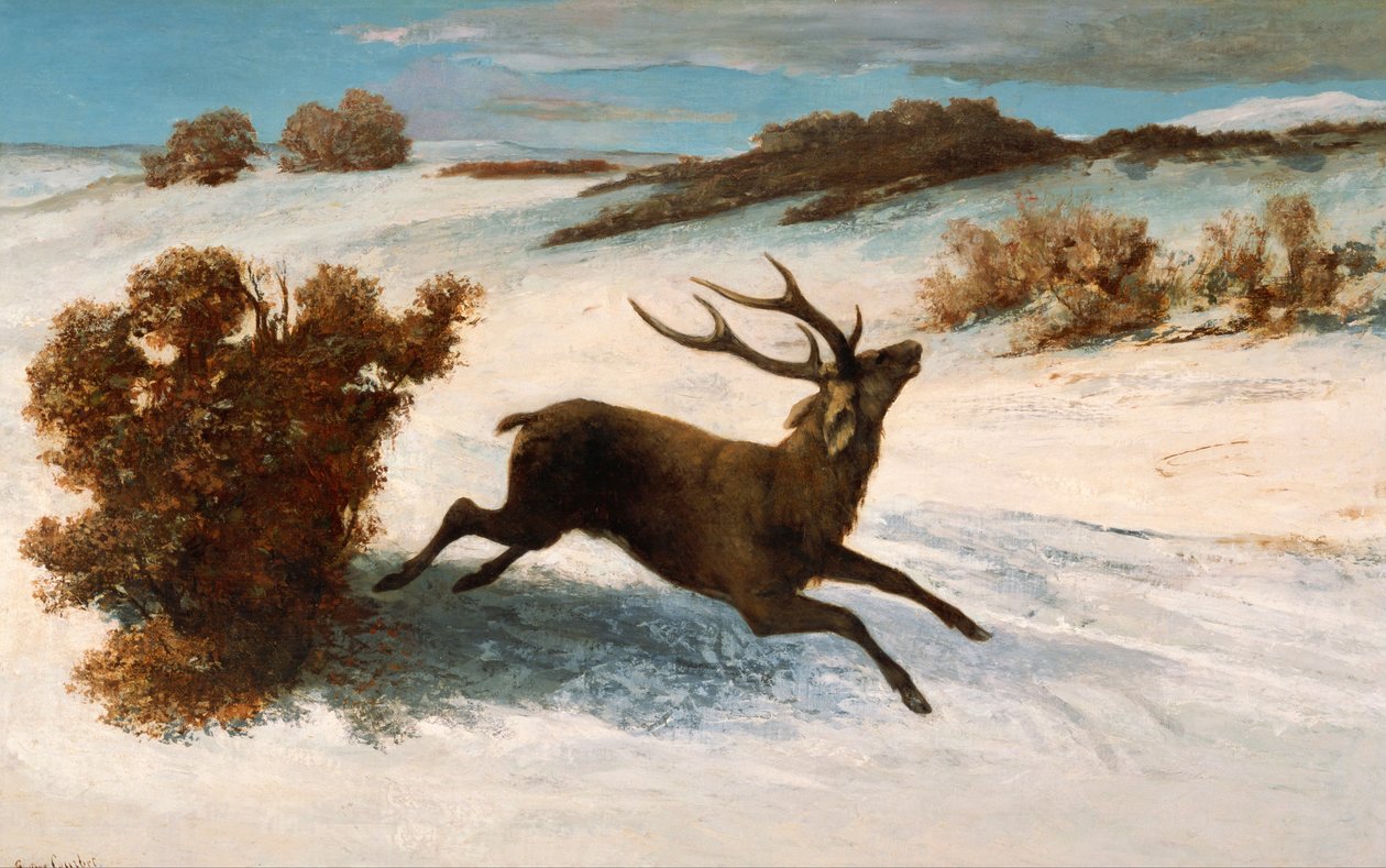 Hirsche im Schnee von Gustave Courbet