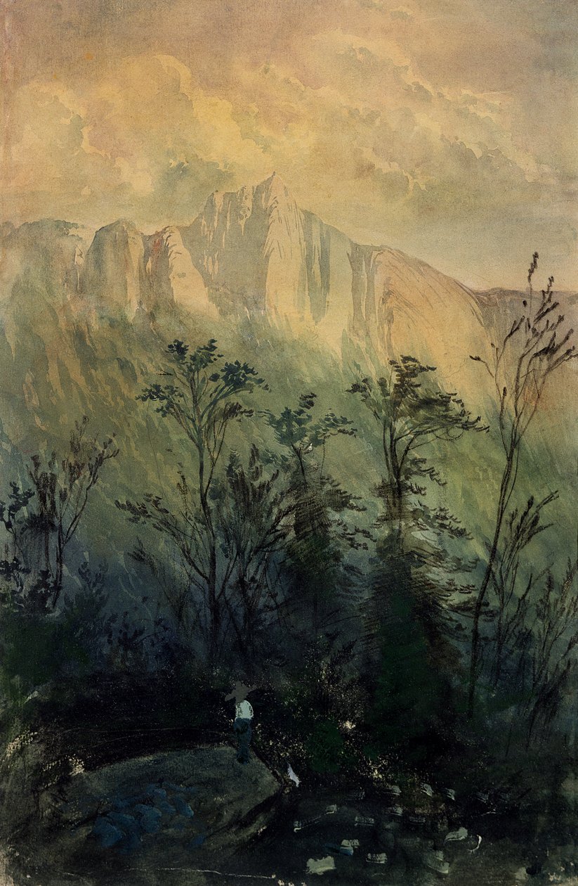 Landschaft in den Vogesen, um 1883 von Gustave Dore