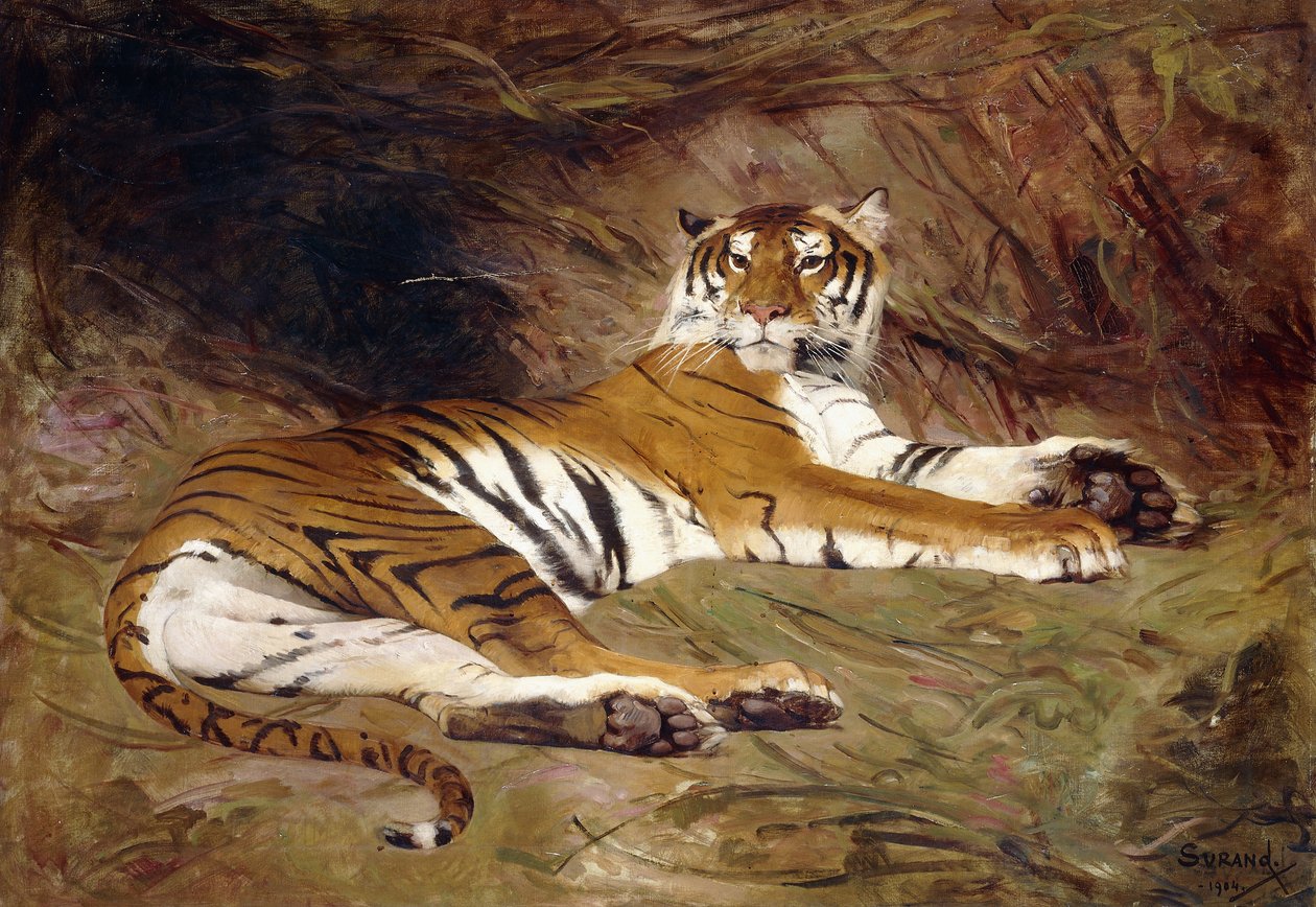 Ein liegender Tiger von Gustave Surand