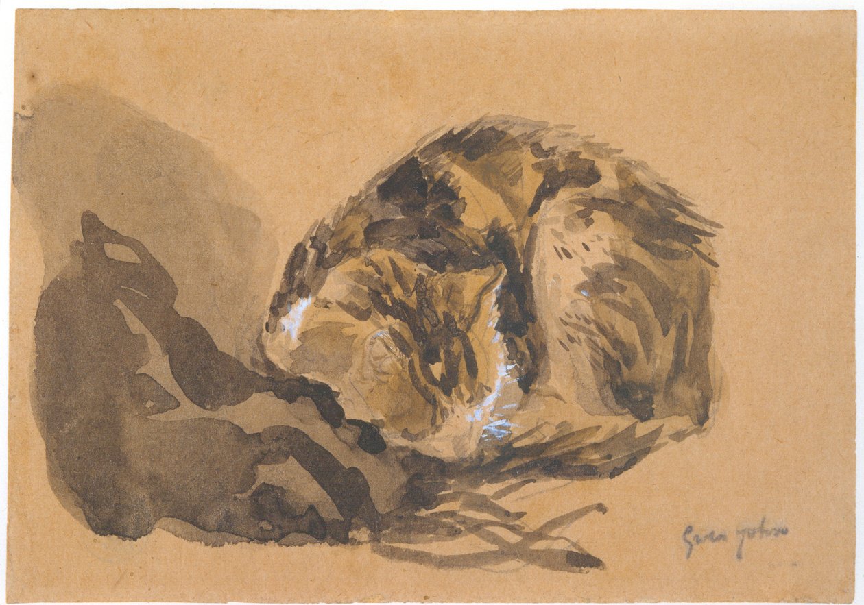 Studie einer Katze, 1905-08 von Gwen John